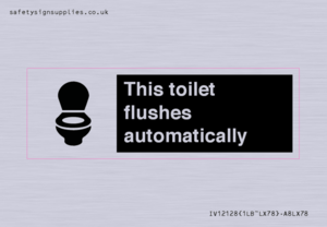 This toilet flushes automatically